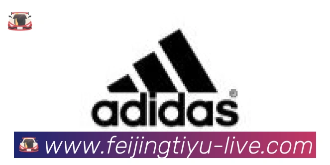 飞鲸体育直播合作伙伴
